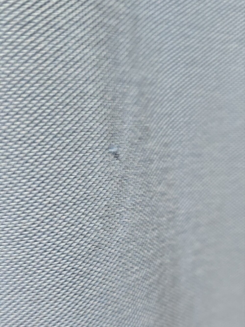 Tommy Bahama Men's Periwinkle Polo with Floral Placket - Picture 6 of 7